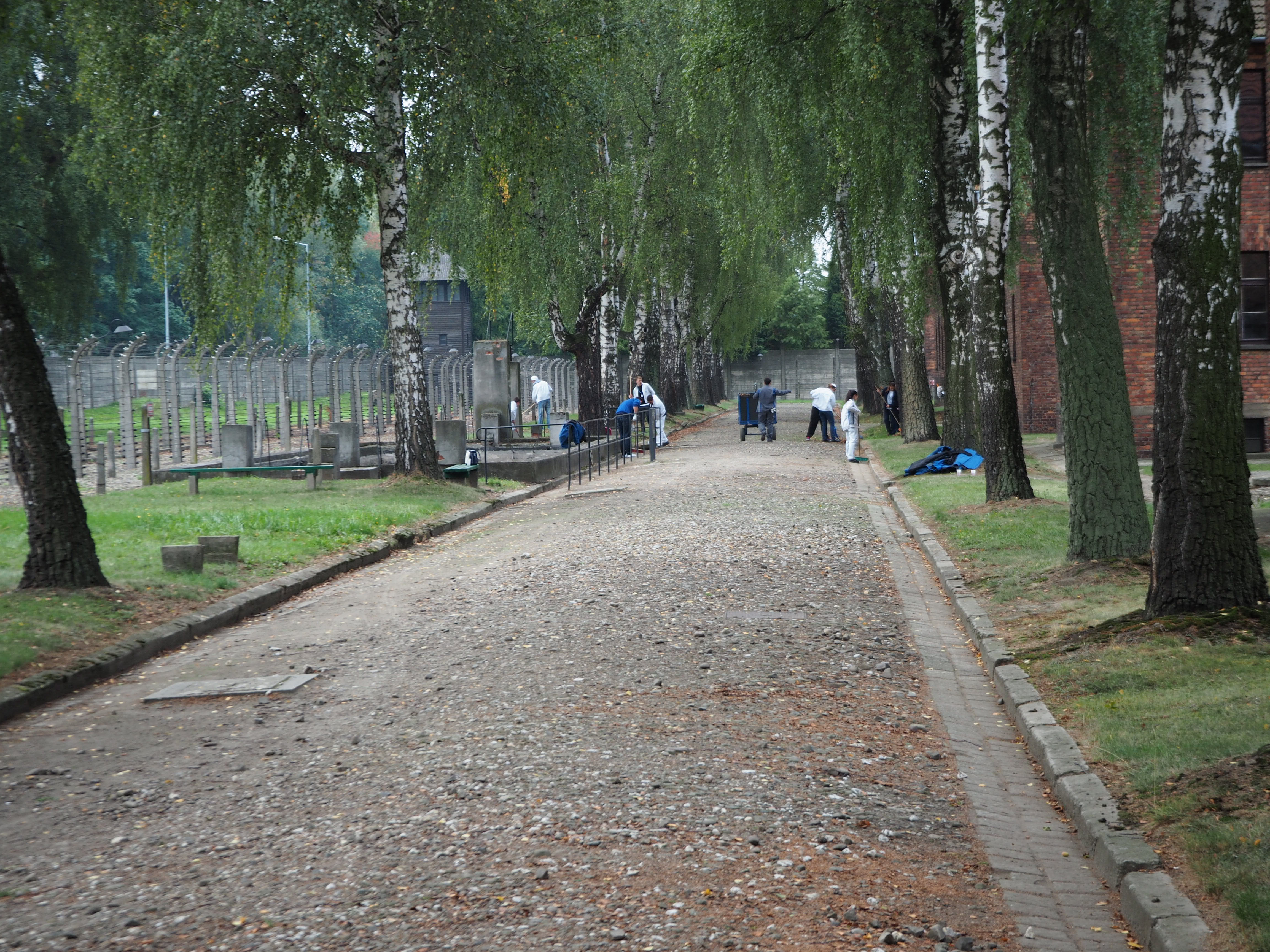 Pracowali w „Miejscu Pamięci” (FOTO)