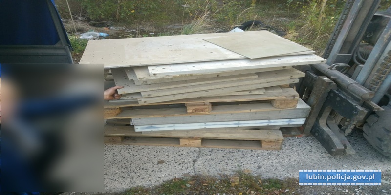 Odbywał praktykę w firmie, a później ją okradł