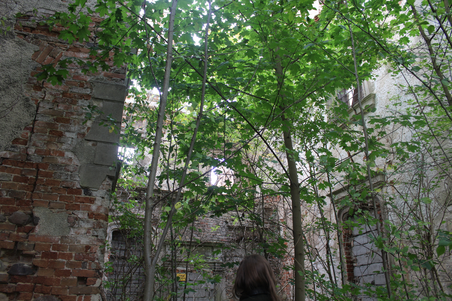 Największy renesansowy dwór na Dolnym Śląsku jest w Dziewinie (FOTO)