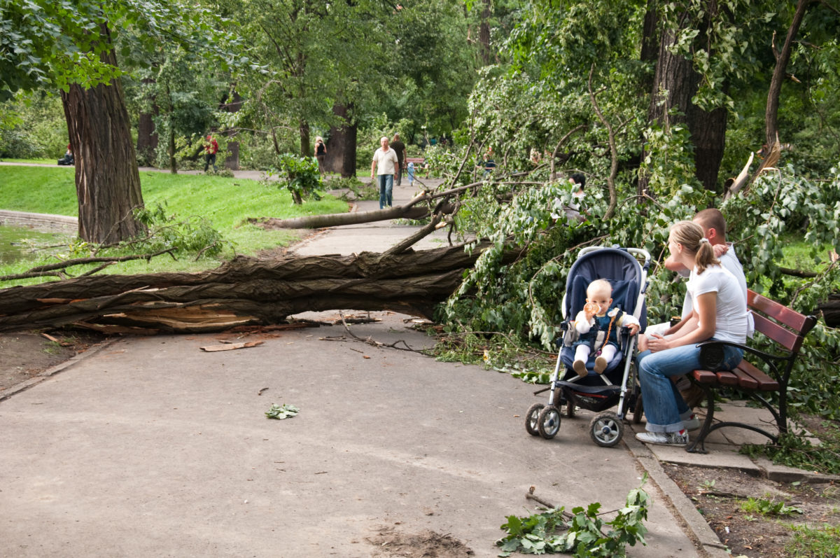 W 10. rocznicę huraganu odkryją park na nowo