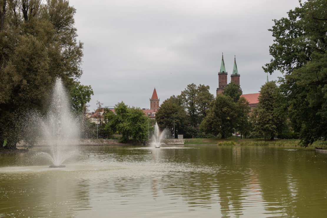 Zielone ABC: Zielone płuca Zagłębia Miedziowego