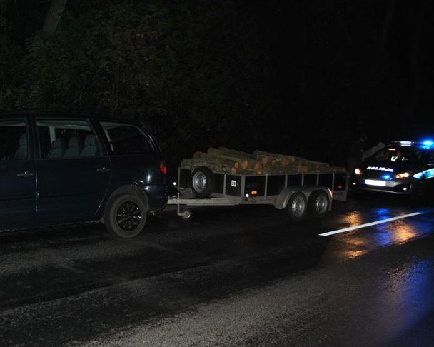 Leśny monitoring wytropił złodziei drewna