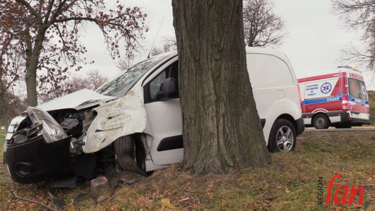 Citroen uderzył w drzewo (FOTO, WIDEO)