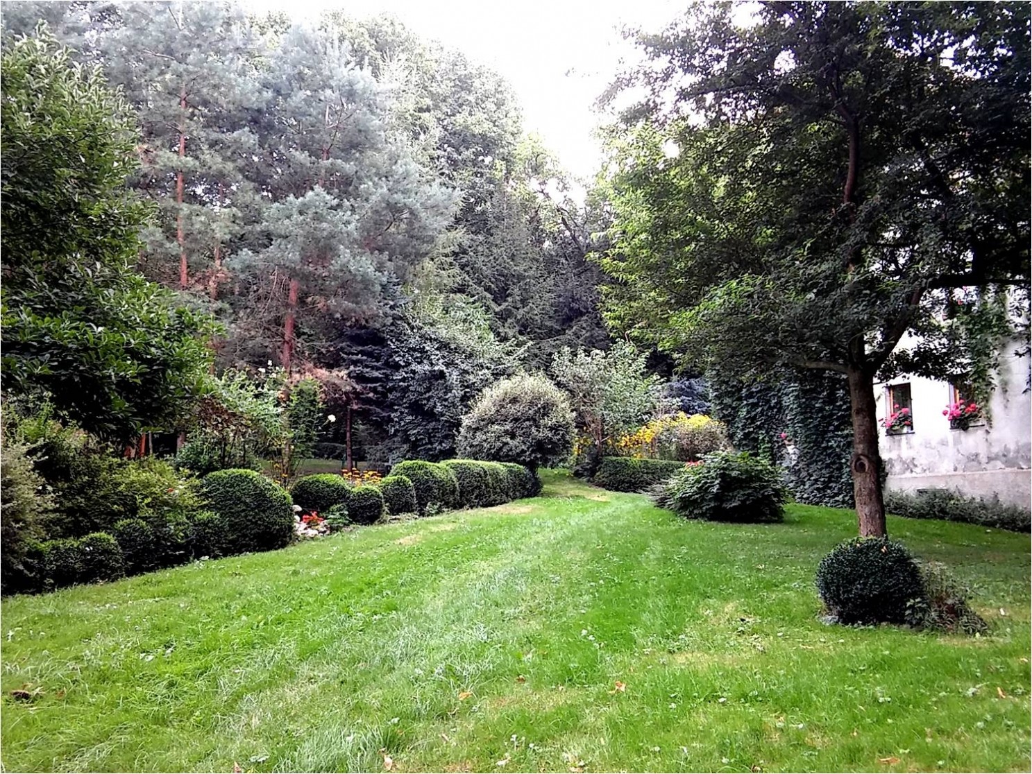 Wybrali najpiękniejsze ogródki i balkony (FOTO)