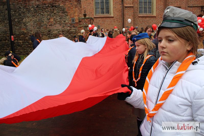 Ze zdjęć lubinian powstanie niezwykły obraz
