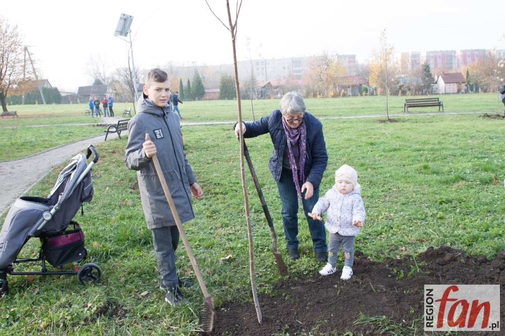 Głogowianie posadzili 100 drzew (FOTO)