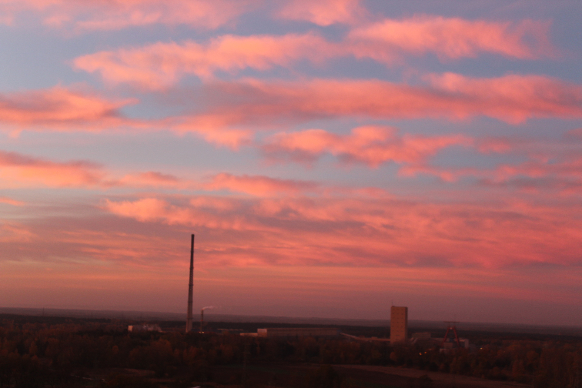 Tylko ona w ciszy wyborczej ma głos (FOTO)