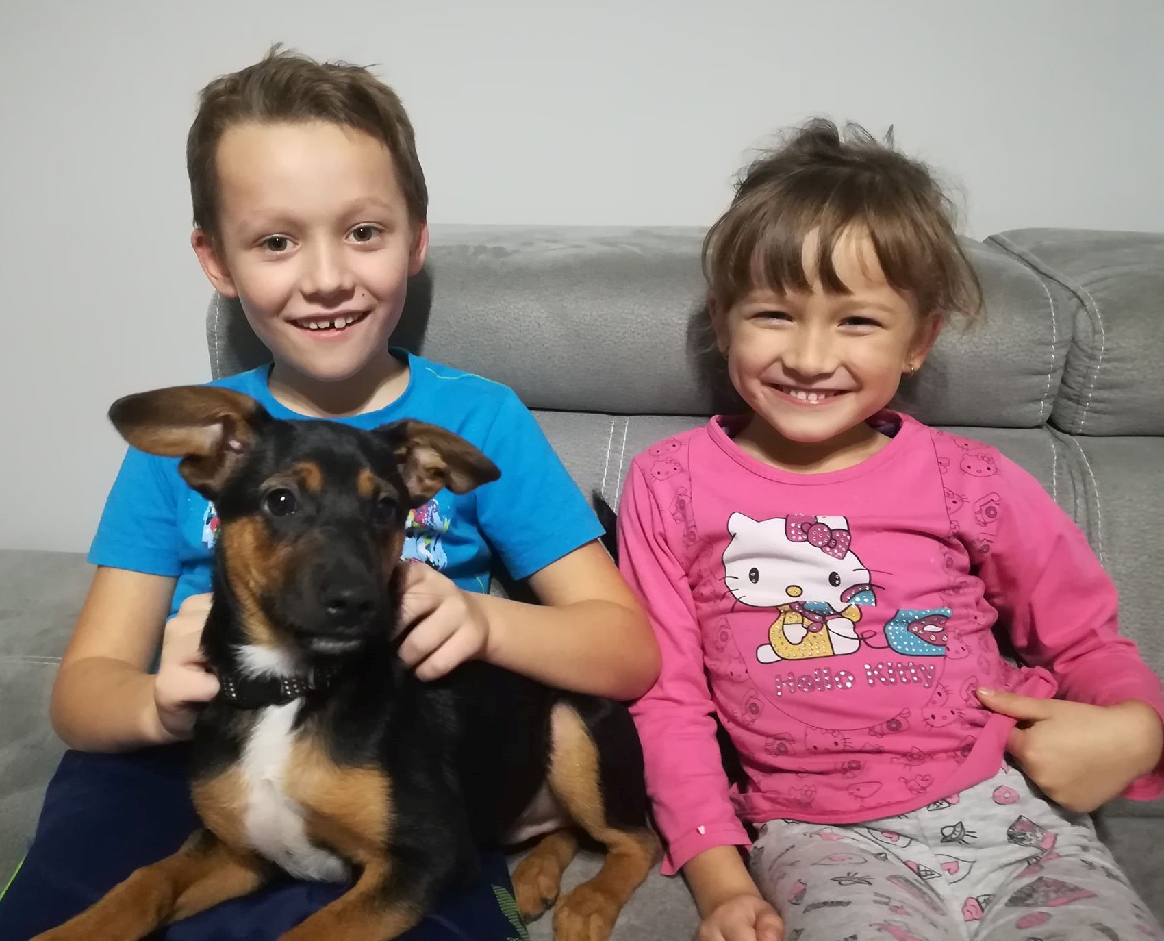 Urzędnicy kontrolują nowe domy zwierzaków