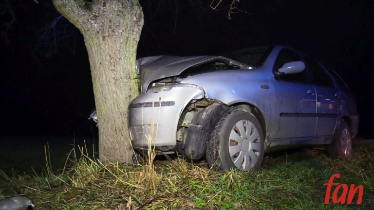 Fiat na drzewie (FOTO, WIDEO)