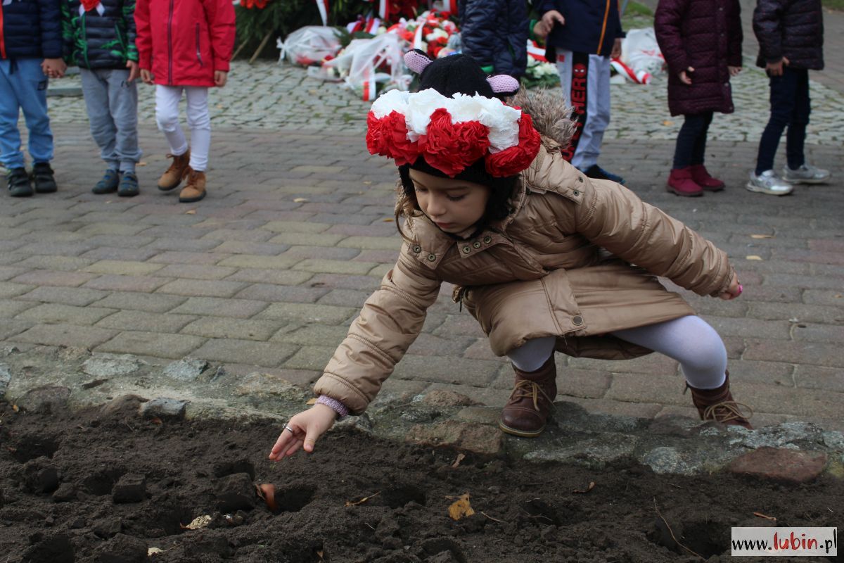 Przedszkolaki zasadziły tulipany od polskich żołnierzy