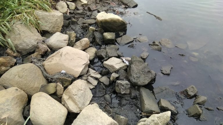 Ścieki znowu spłynęły do Odry