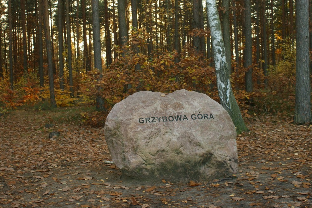 Zimowy piknik pod Grzybową Górą