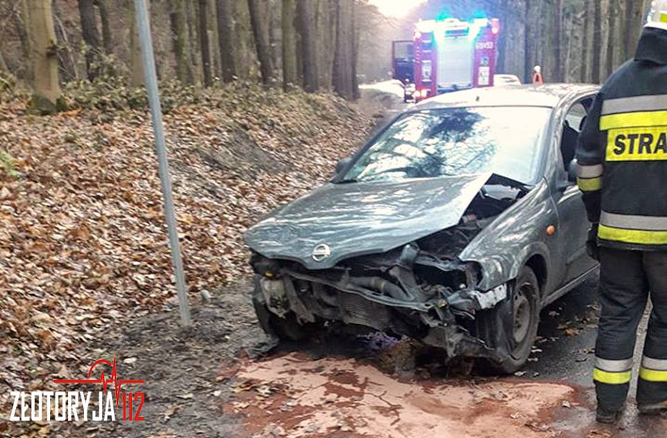 Podróż zakończył na drzewie. Dwie osoby w szpitalu (FOTO)