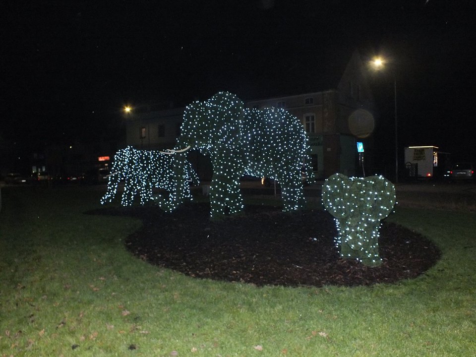 Radwanickie słonie w świątecznej odsłonie. Jest i choinka