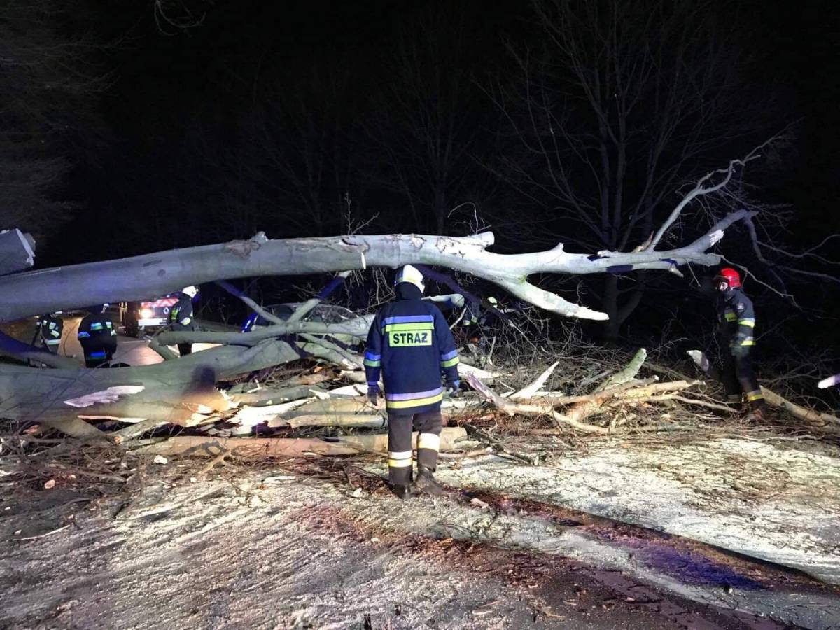 Drzewa spadały na samochody (FOTO)