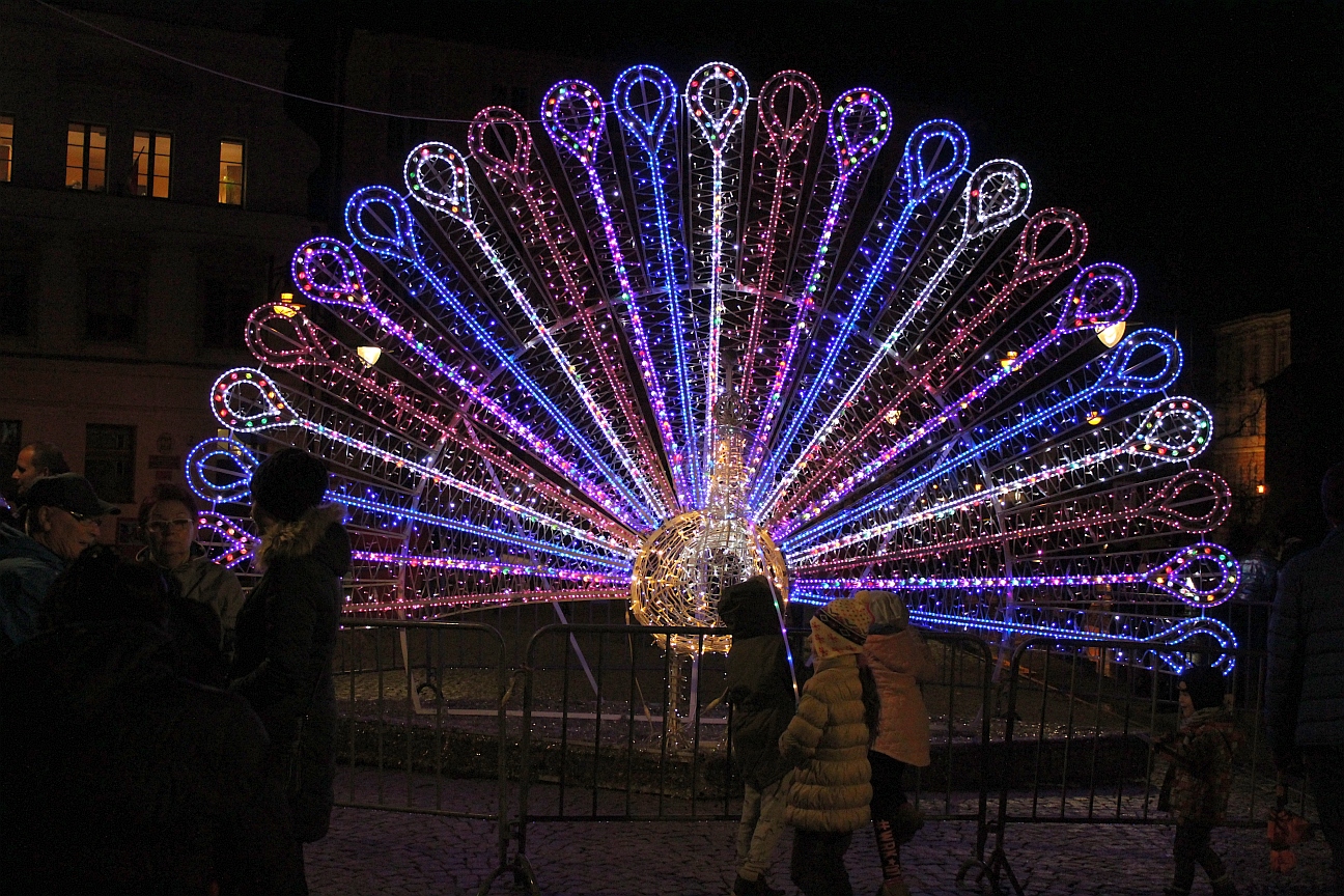 Czy Legnica znów zabłyśnie? Decydują mieszkańcy