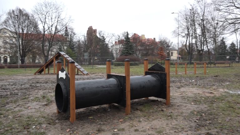 Psy będą miały swój plac zabaw (WIDEO)