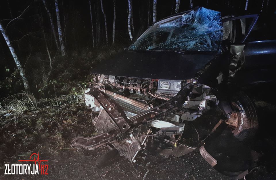 Wypadł z drogi i uderzył w drzewo (FOTO)