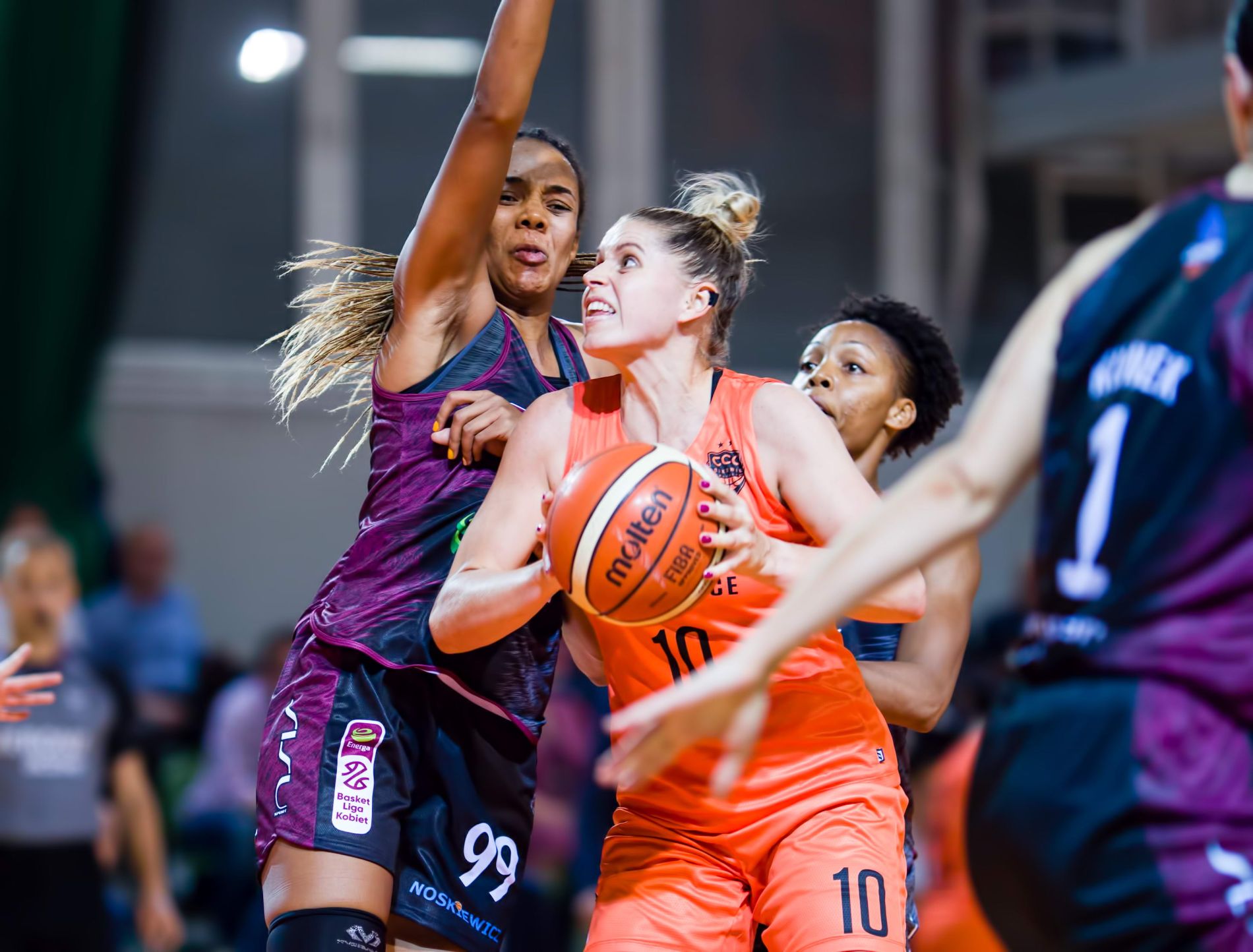 Hit kolejki dla koszykarek CCC!