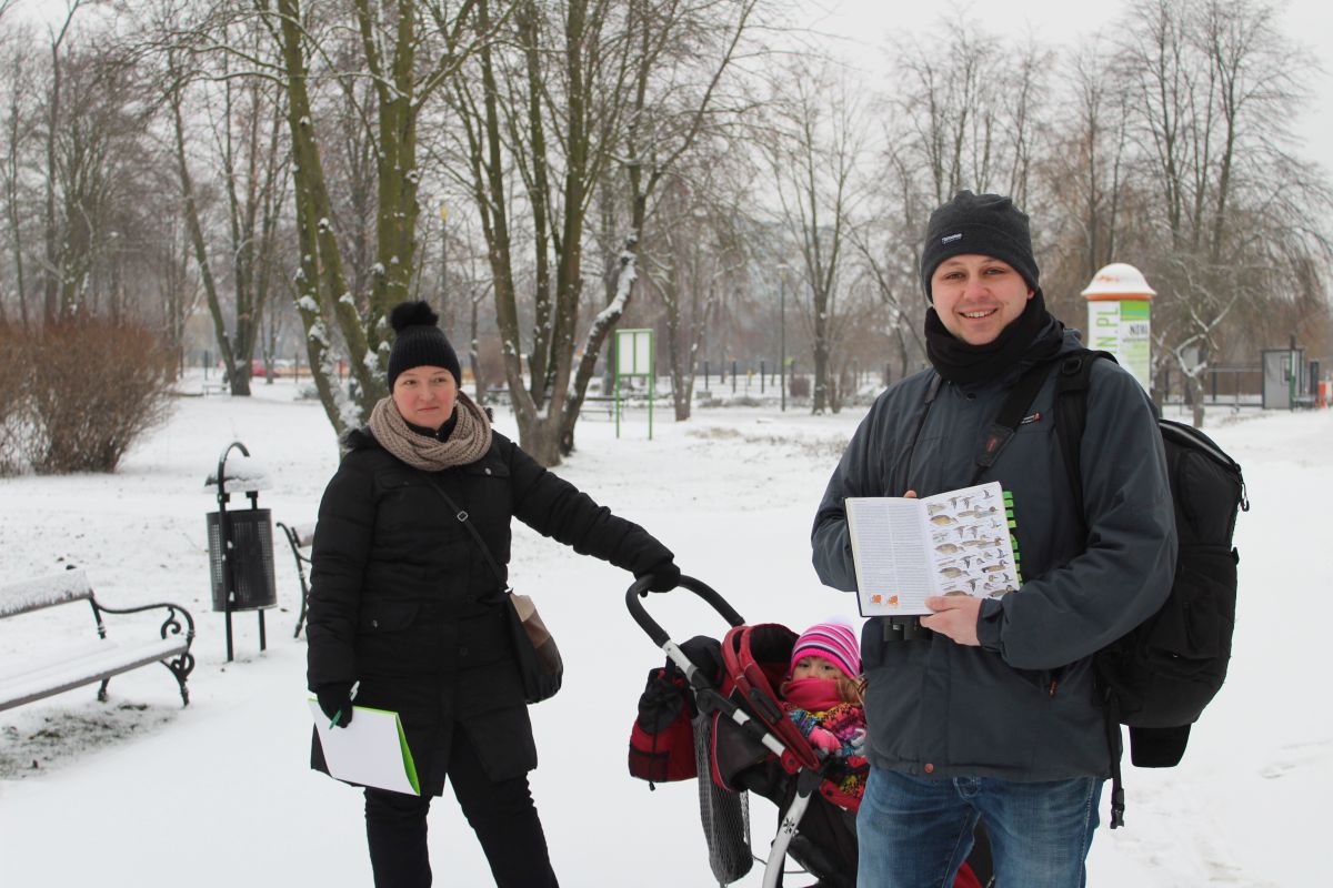 Po raz czwarty zimą liczyli ptaki (FOTO)
