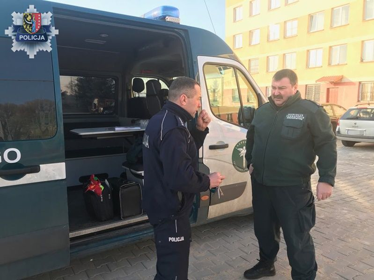 Kontrolują busy i ciężarówki