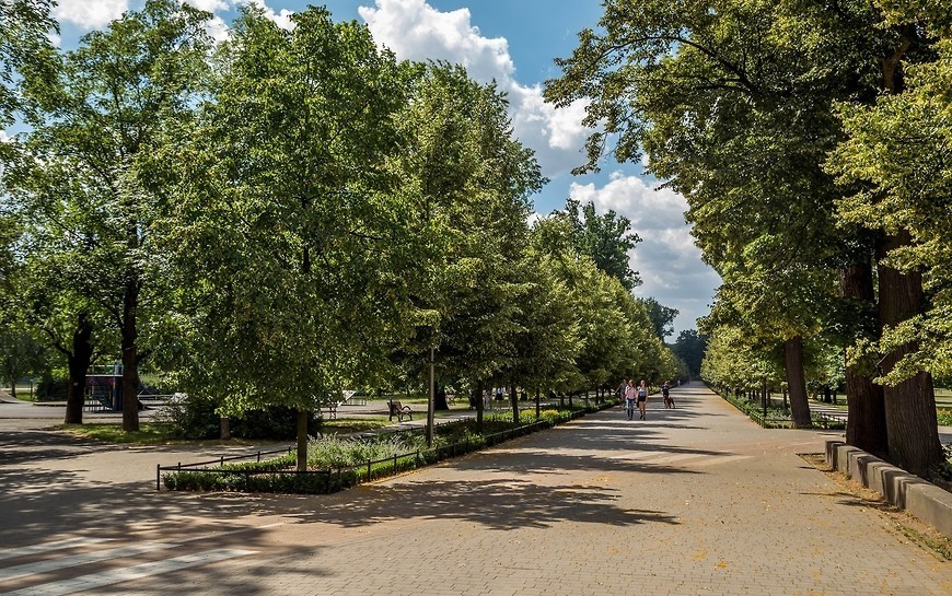 Kto zajmie się parkową zielenią?