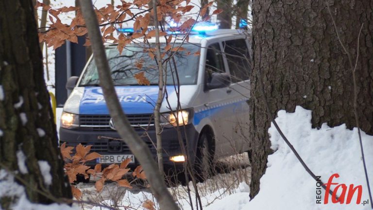 Śmierć w środku lasu (FOTO, WIDEO)