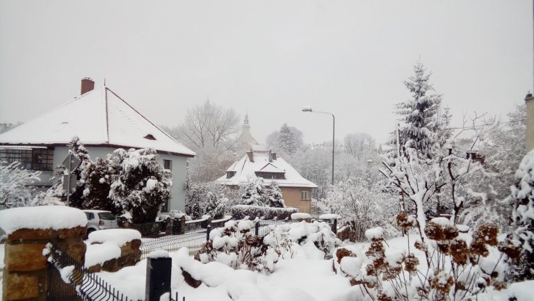 Czy „bestia ze wschodu” uderzy u nas?