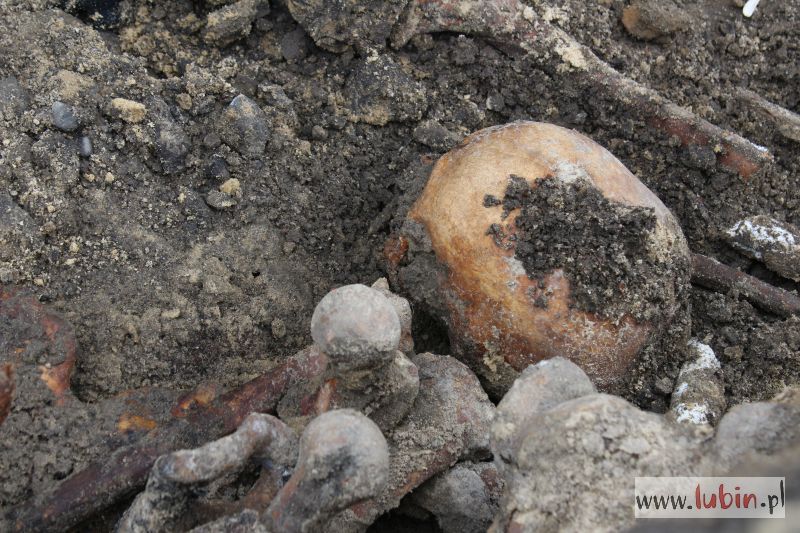 Ludzkie kości i broń pod osiedlem domków jednorodzinnych (WIDEO)