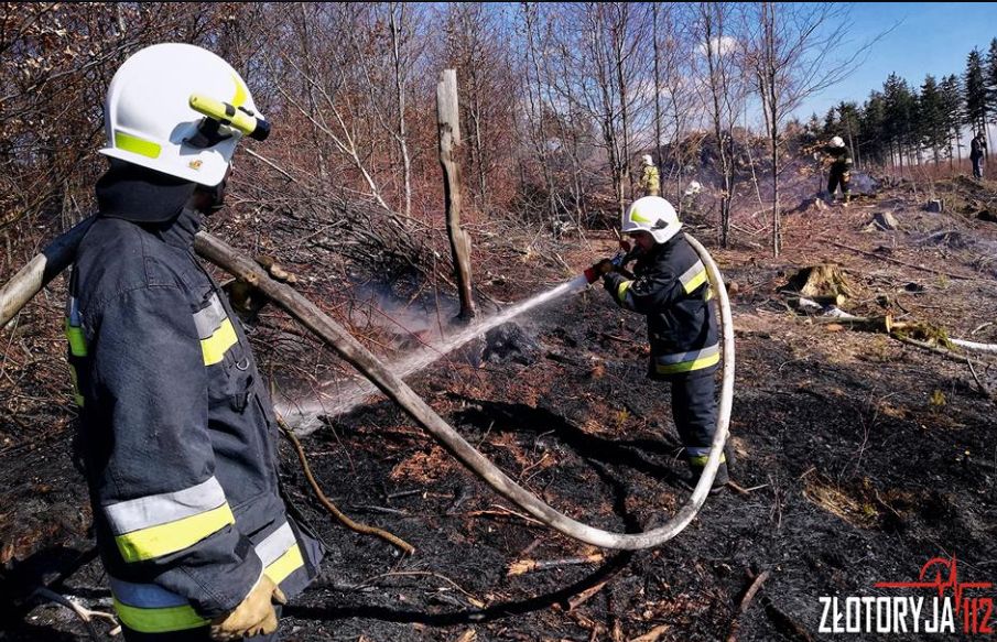 Samoloty gasiły pożar na Okolu