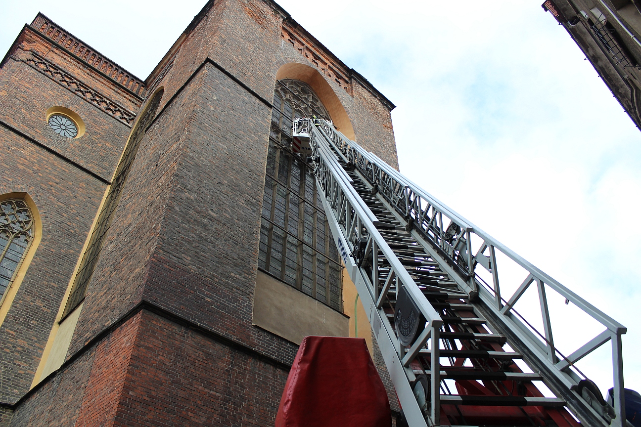 Strażacy na ratunek gołębiom (FOTO)