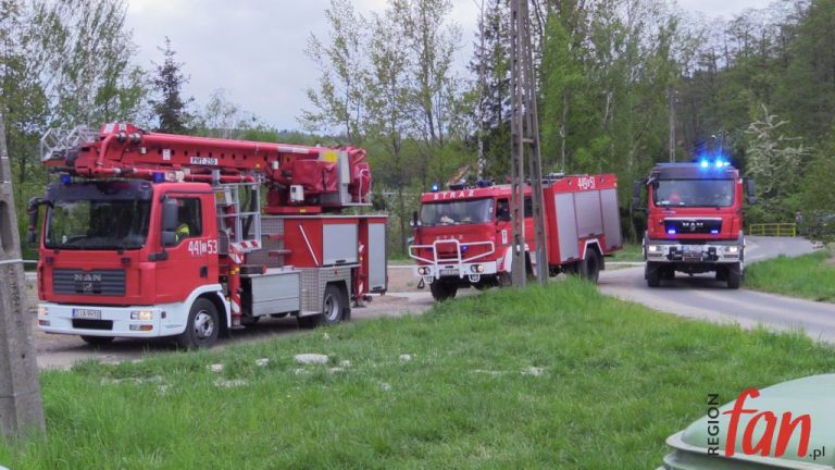 Fałszywy alarm w dobrej wierze (WIDEO)