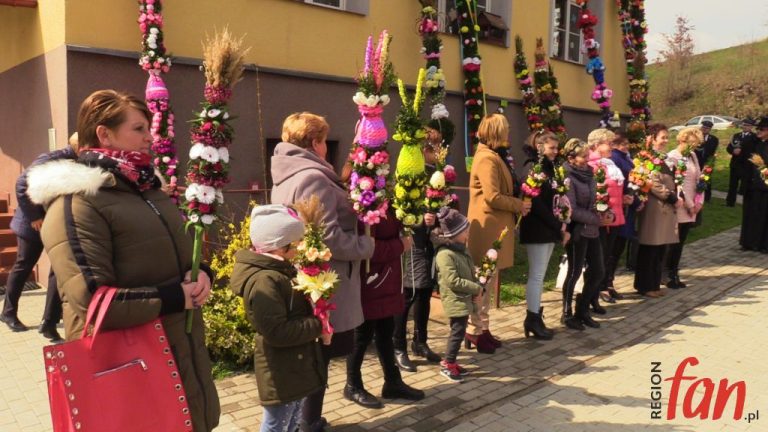 Pokaźne palmy nagrodzone (FOTO)