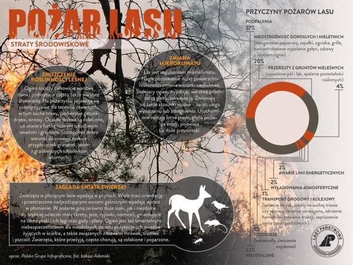 Zagrożenie pożarowe w lasach