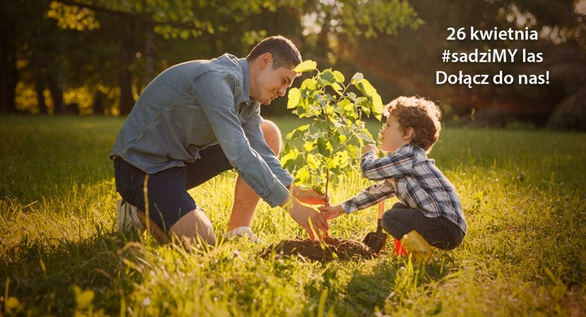 Każdy może zasadzić swoje drzewko