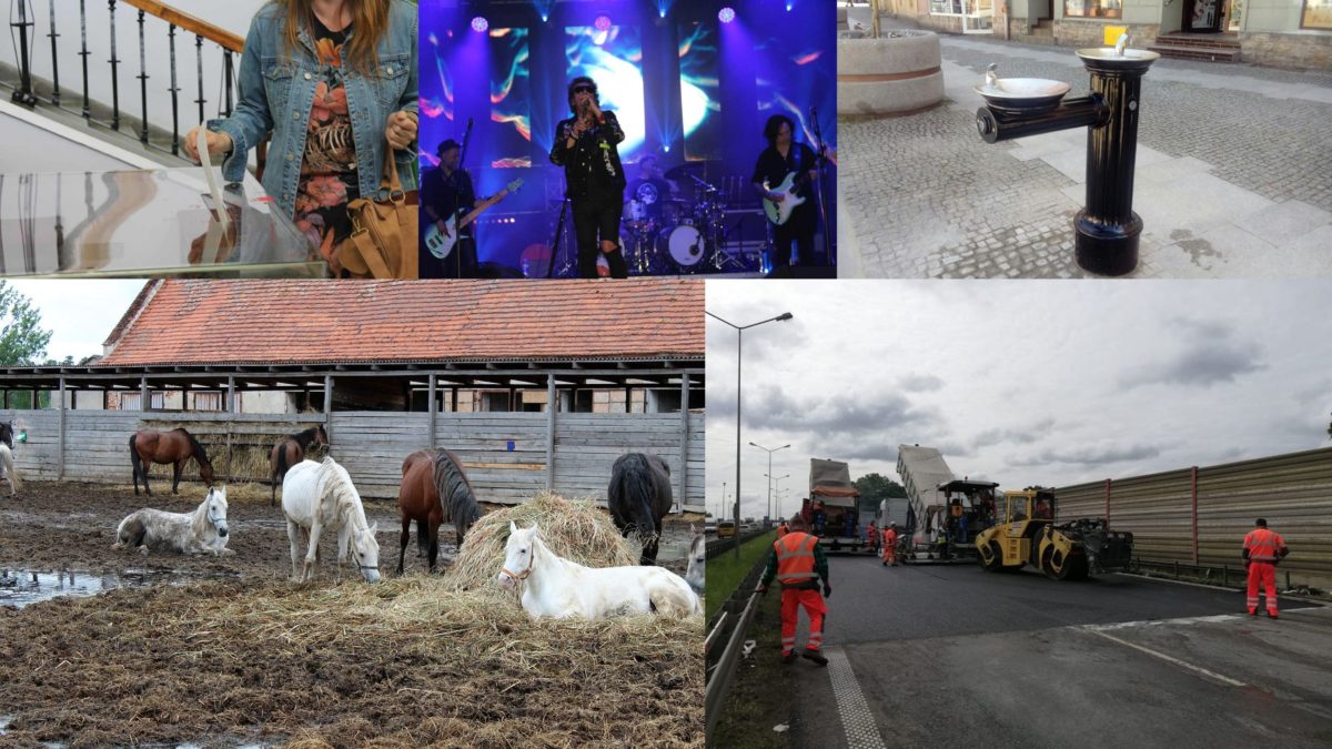 Flesz RF – przegląd wydarzeń z regionu