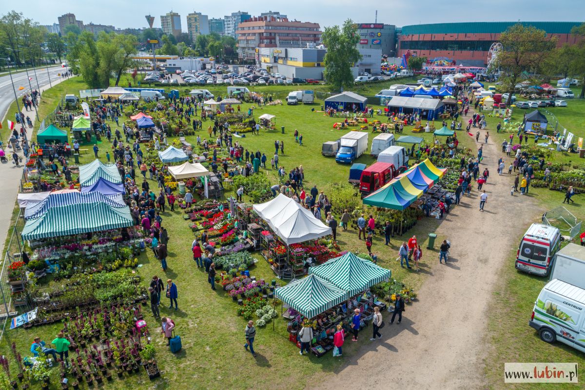 Lubińskie błonia „zakwitły” po raz siódmy (FOTO, WIDEO)