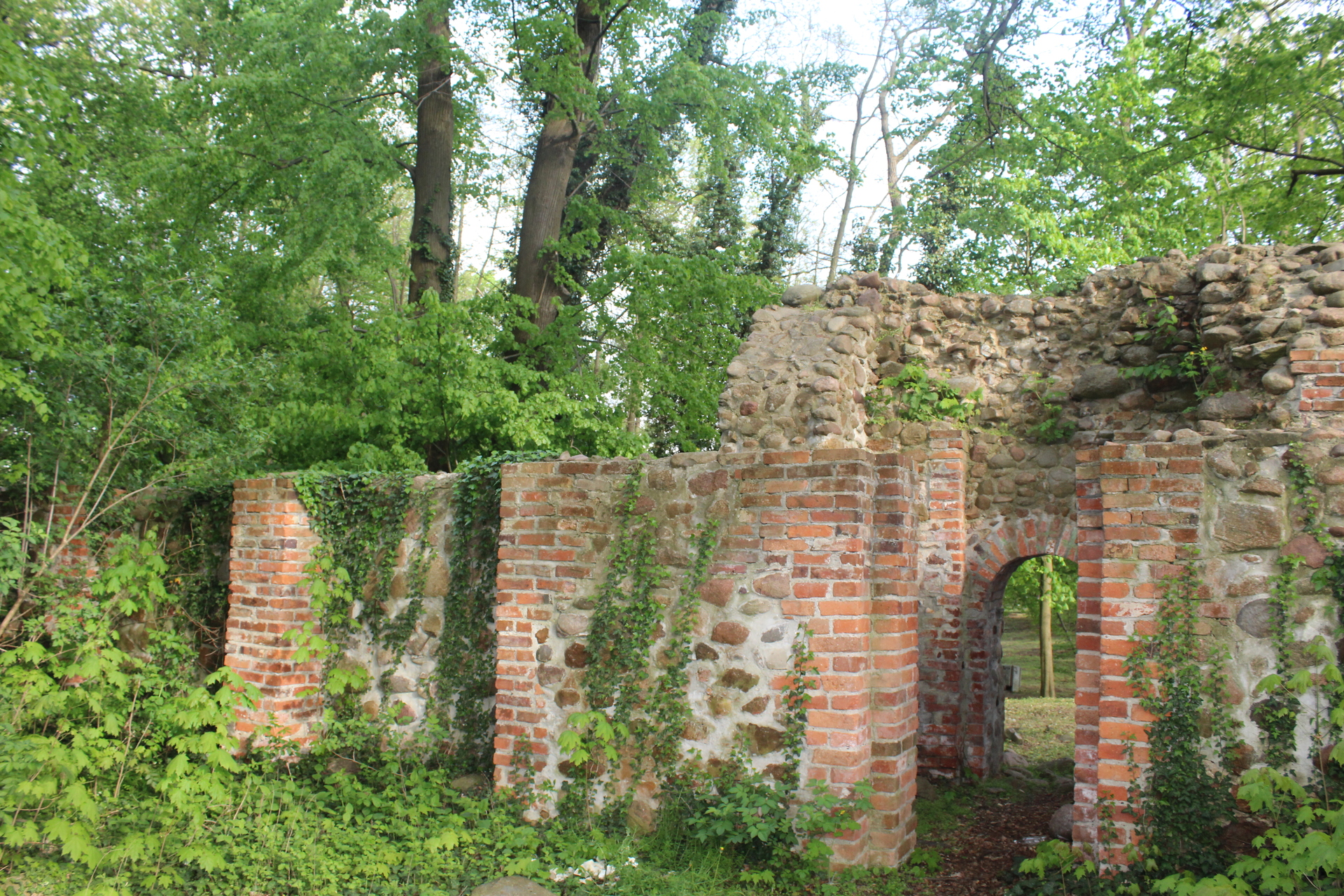Park w Kaźmierzowie – cichy świadek historii (FOTO)