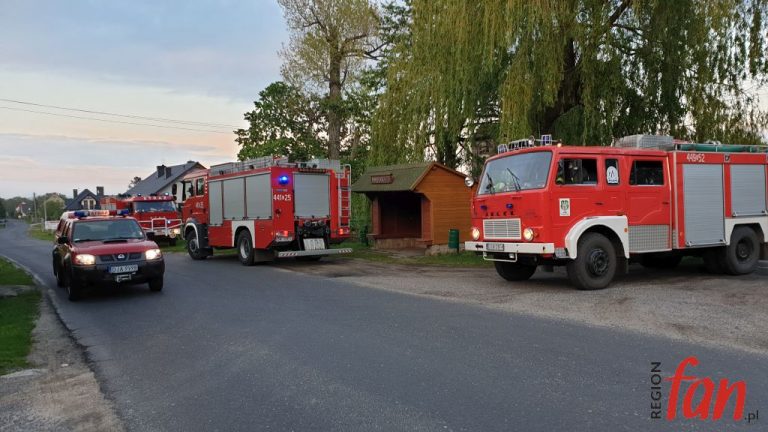 Pożar lasu… odwołany (FOTO)
