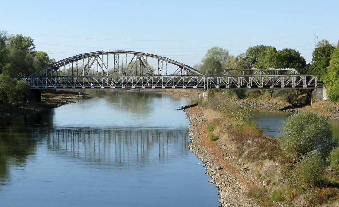 Najlepsi na świecie pływali w Odrze