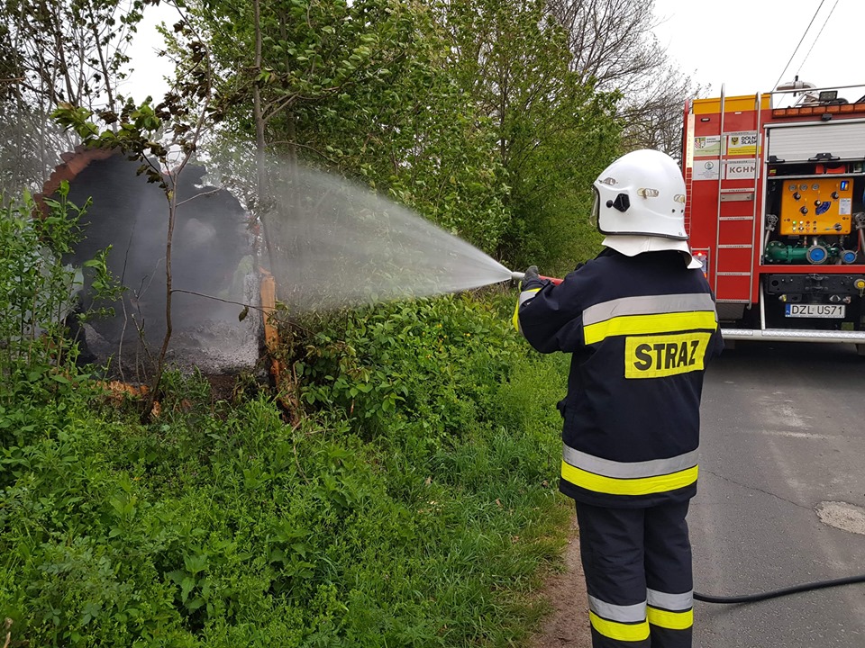 Gasili przydrożne drzewo (FOTO)