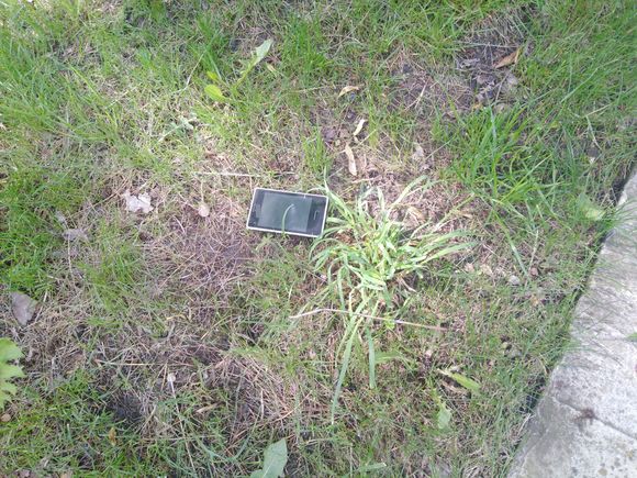 Uciekł z łupem, a po drodze zgubił telefon