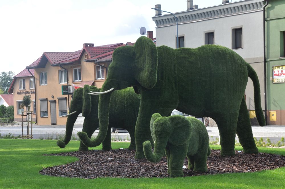 Radwanice szykują się do świętowania