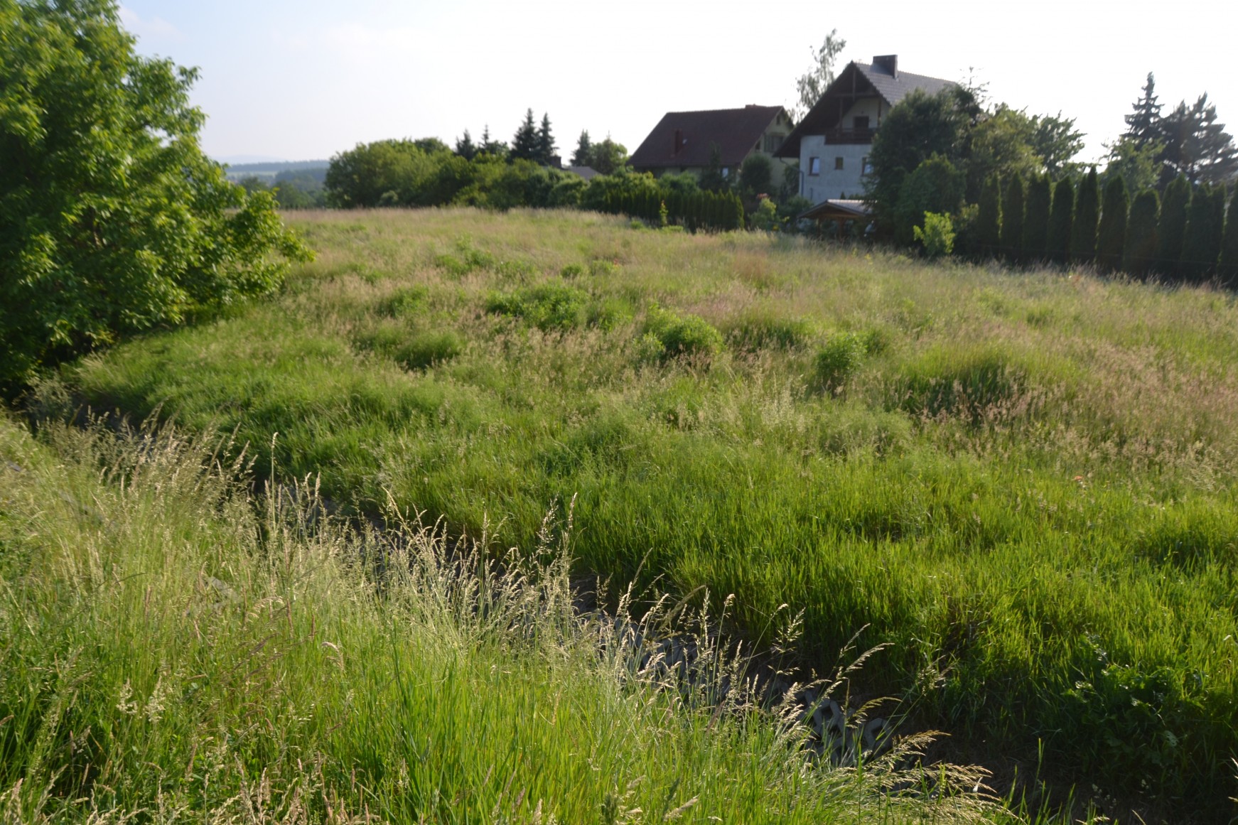 Miasto sprzedaje działki