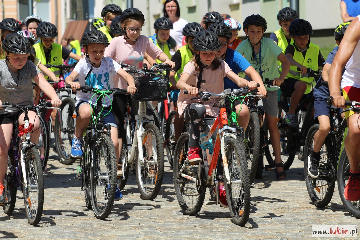 Popedałuj dla czworonożnych przyjaciół