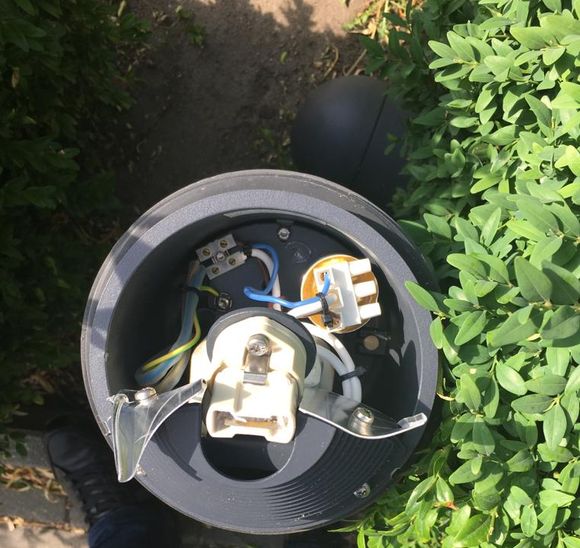 Wyżył się na lampie. Siły dodały mu promile