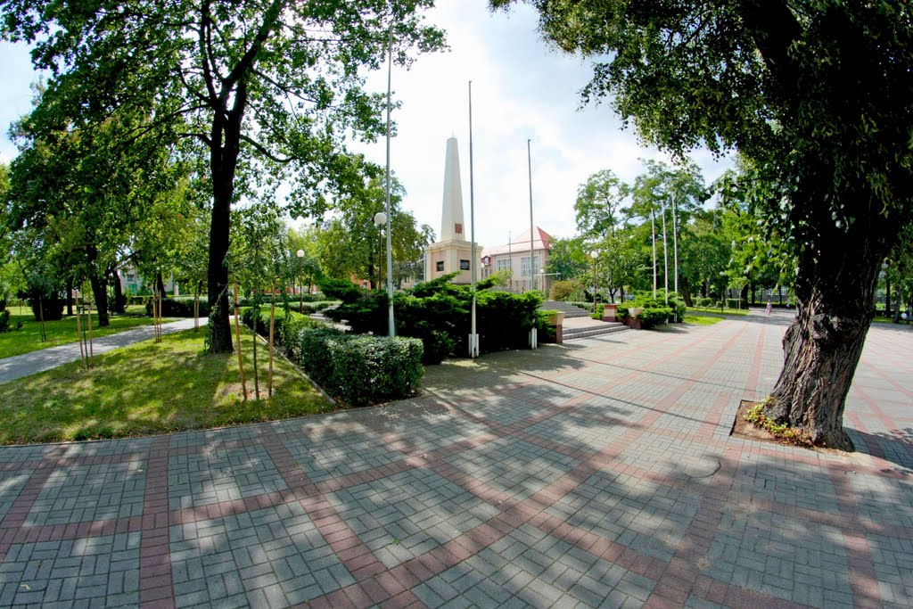 Kolejna pechowa inwestycja