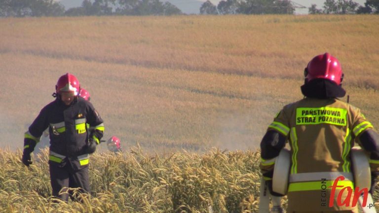 Dyżury strażackie na czas zagrożenia pożarowego