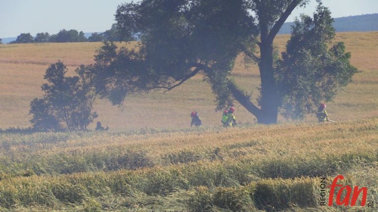 Gasili pożar w 40-stopniowym upale. Hektary uratowane! (FOTO, WIDEO)