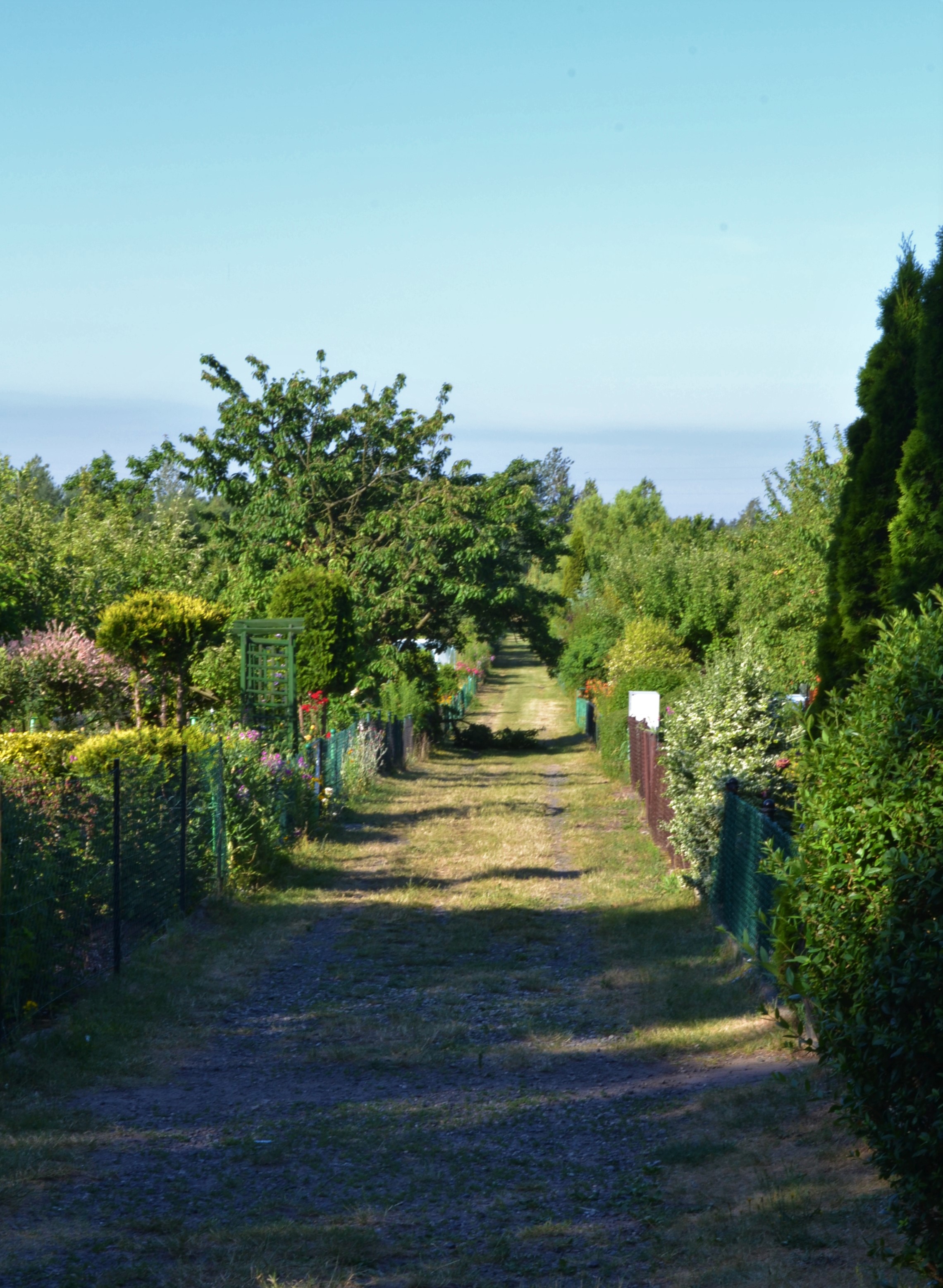 „Marysieńka” najładniejsza w powiecie polkowickim